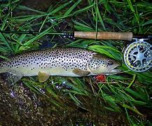 Image result for Fly Fishing Big Fish