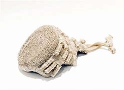 Image result for Judicial Wig