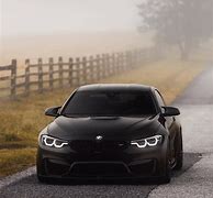 Image result for Drip Cat in BMW M4 PFP