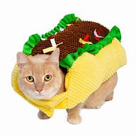 Image result for Taco Cat Costume