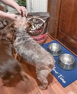 Image result for Dog Food Treat Mat