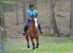 Image result for Riding Fast Horse with Sombraro On