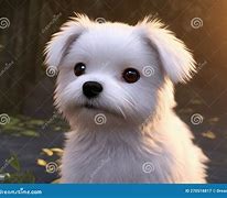 Image result for Cute Dog Beardie