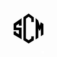 Image result for Scmsi Logo