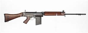 Image result for FN Gun Riffle