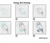 Image result for Snowy Owl Black and White Drawing