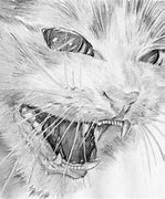 Image result for Hissing Cat Sports Logo