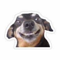 Image result for Smiling Doggo