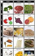 Image result for Food Groups Names