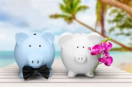 Image result for Piggy Banks Other