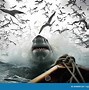 Image result for Shark Eating Small Fish