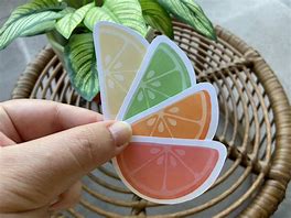 Image result for Citrus Stickers