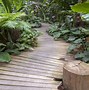 Image result for Dirt Path Garden