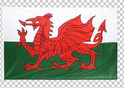 Image result for Welsh Dragon USA Flag