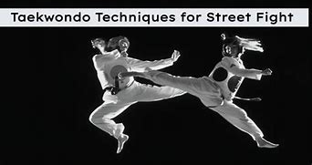 Image result for Taekwondo Self Defense