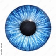 Image result for Realistic Blue Eye Texture