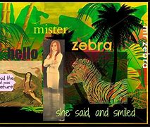 Image result for Mr. Ed Zebra