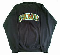 Image result for FAMU Sweatshirt