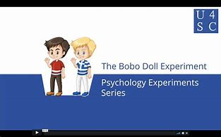 Image result for Black Doll Experiment