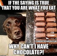 Image result for Eating Chocolate Meme