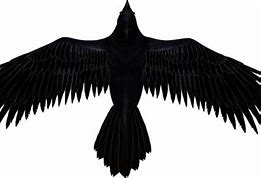 Image result for Raven Cool Symbol