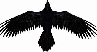 Image result for Raven ASCII