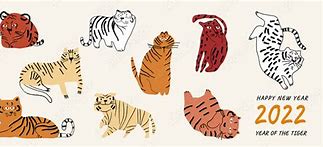 Image result for Tiger Doddle