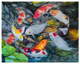 Image result for Layer Koi Laser