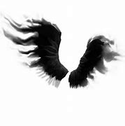 Image result for Angel Wings Shadow