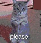 Image result for Please Kitty