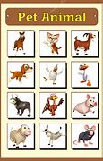 Image result for Cat Pet Chart