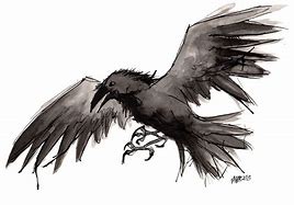 Image result for Raven Flying Drawing