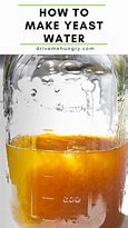 Image result for Yeast in Water