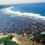 Image result for Seaweed Farming