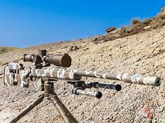 Image result for 22Creedmoor Hunting