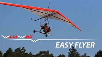 Image result for EasyFlyer