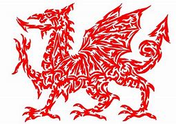 Image result for Welsh Dragon Black and Grey