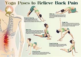 Image result for Lower Back Pain Yoga