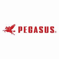 Image result for Pegasus Group Logo