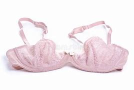 Image result for Landscape Image Pink Bra