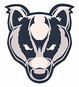 Image result for Badger Logo.png