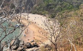 Image result for Butterfly Beach Goa