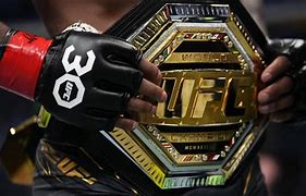 Image result for UFC Sphee