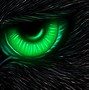 Image result for Owl Jam Neon