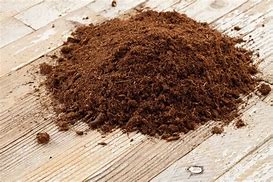 Image result for Peat Moss Date Palm