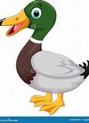 Image result for Cartoon Duckes