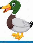 Image result for Duck Anmation