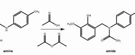 Image result for Amine Reacts with CH3COCl