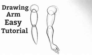 Image result for Hand and Arm Drawing