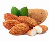 Image result for Almond Oil Image PNG